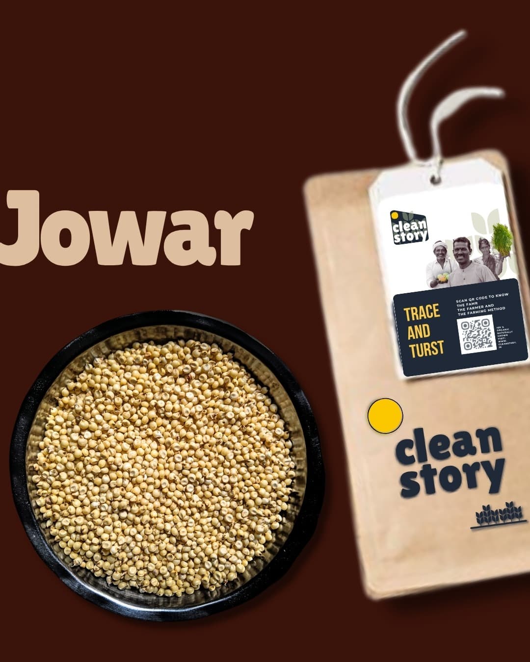 Jowar / Sorghum
